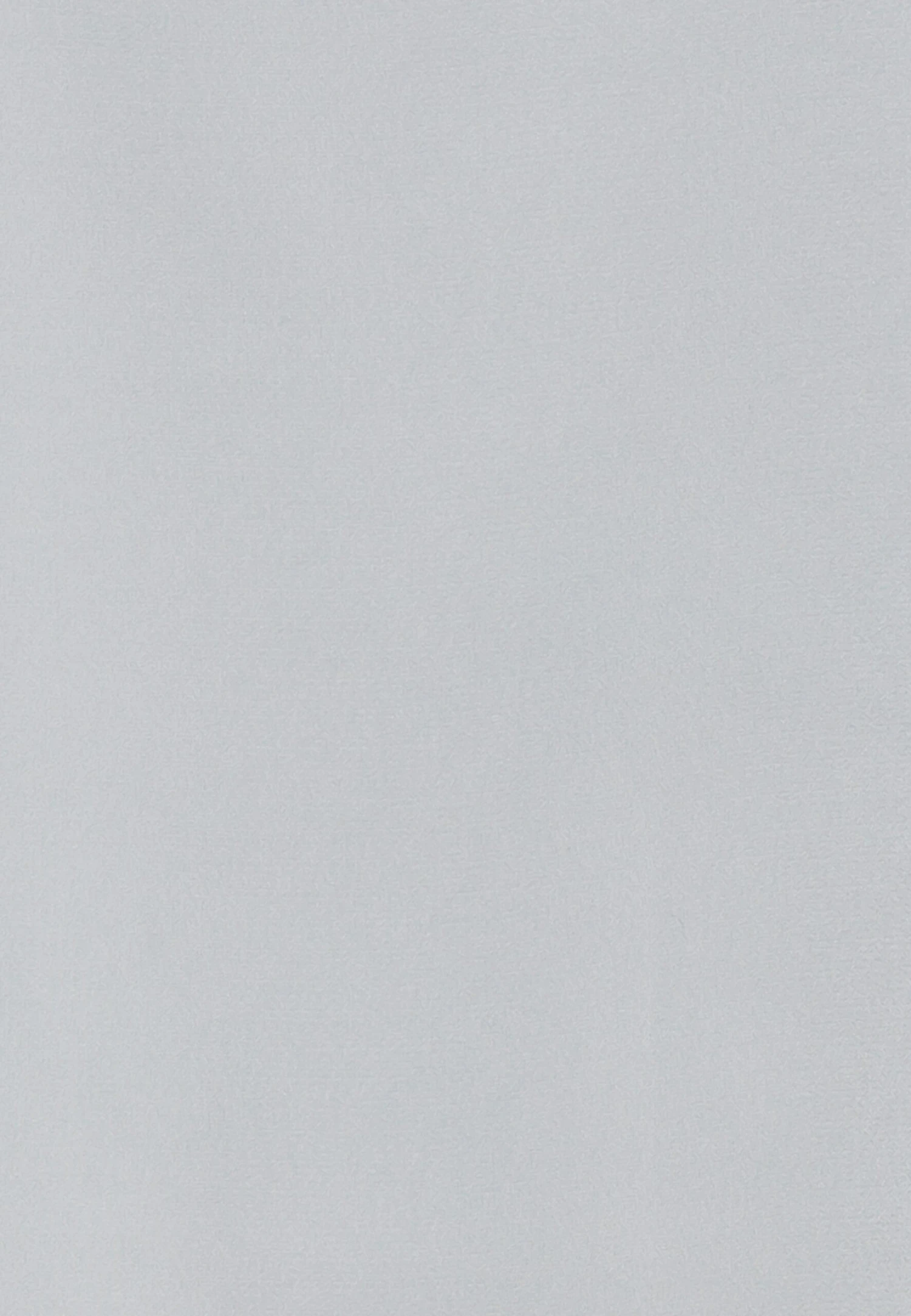 Anna Field Top - Light Grey 3 Anna Field Top - Light Grey - Imagen 3