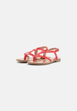 Anna Field Sandalias De Dedo - Red -Tienda Barata Anna Field eca7e1f1a94946c1a63abfda0b339293